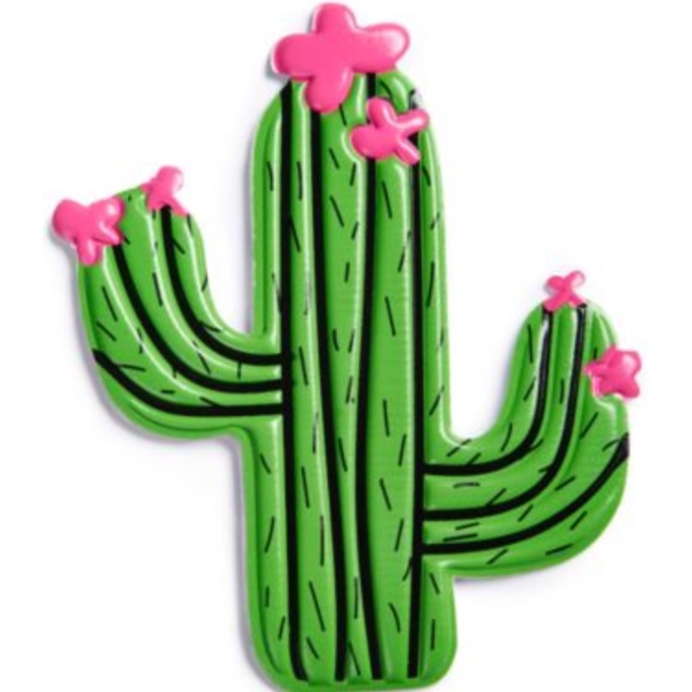 Celebrate Shop Extra-Large Cactus 🌵 Handbag Patch